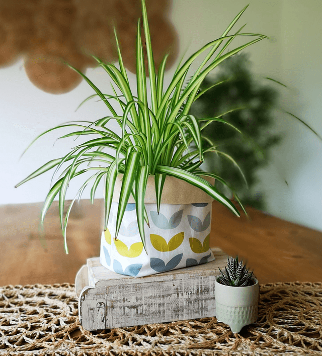Storage Basket - Scandi Leaf